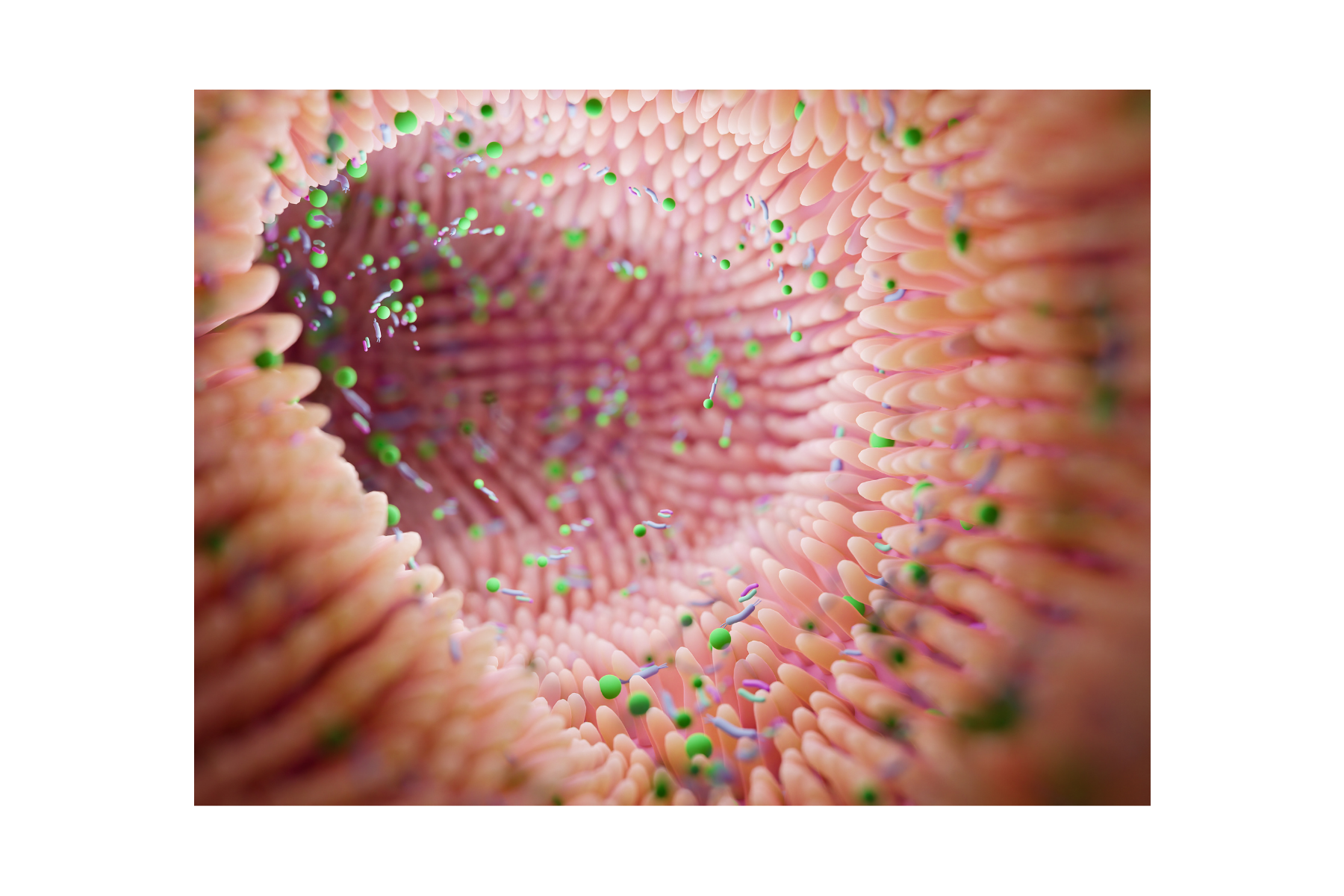 Intestino Sano, Vida Sana: Cuidar tu Digestión para Regenerar tu Salud Desde Adentro